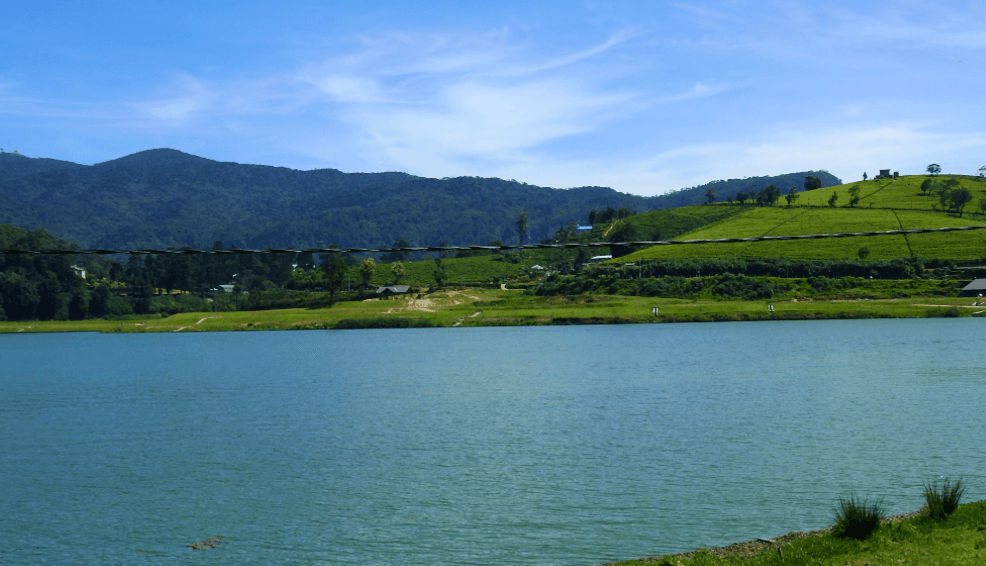 Gregory Lake